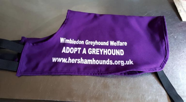 News - new adopt a greyhound coat