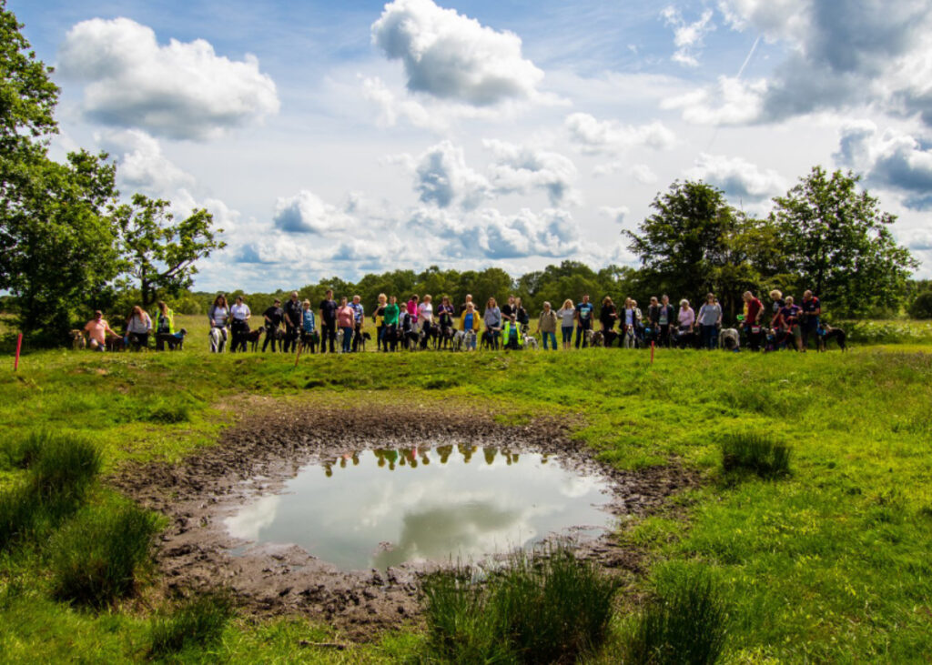 Great Greyhound Walk 2019