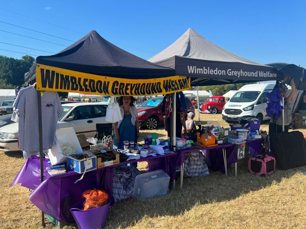 Chertsey Show 2022