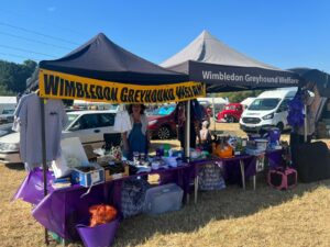 Chertsey Show 2022
