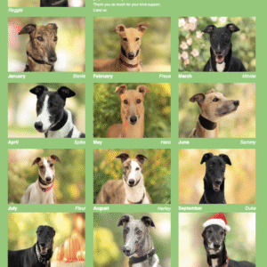 Wimbledon Greyhound Welfare Calendar 2026