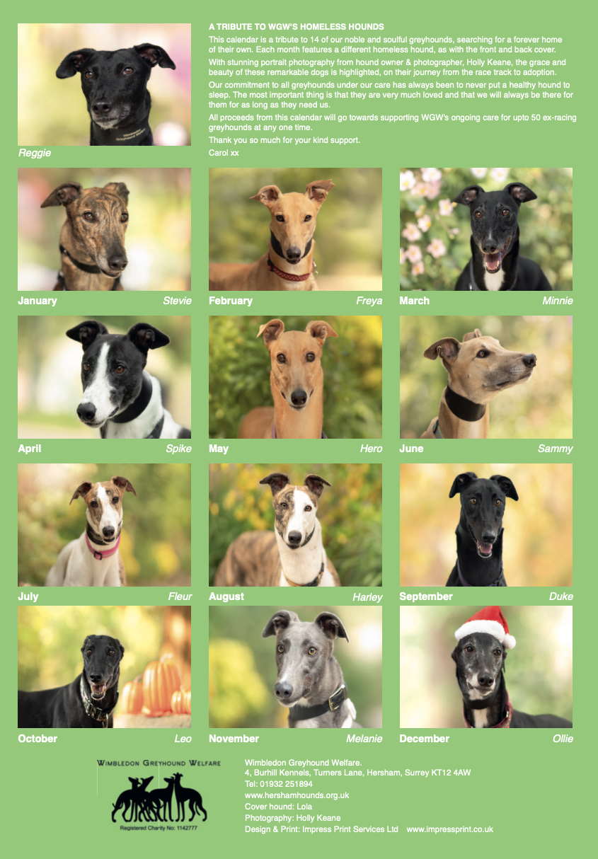 Wimbledon Greyhound Welfare Calendar 2026