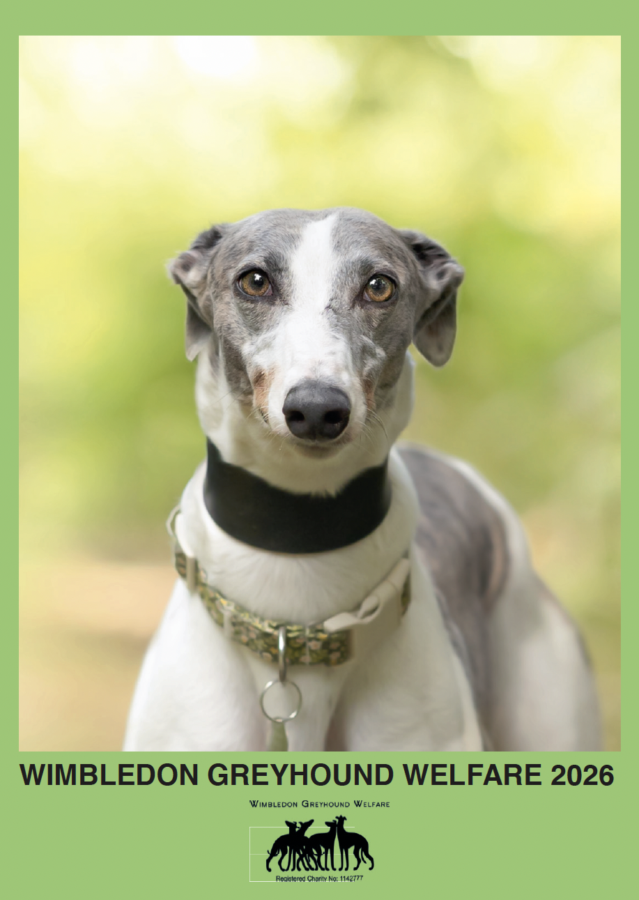 Wimbledon Greyhound Welfare Calendar 2026 - Image 2