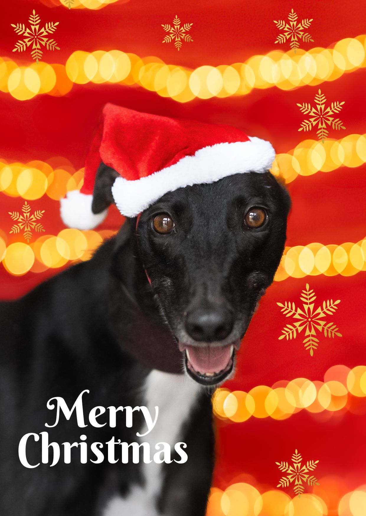 Christmas Cards 2026 - Image 6