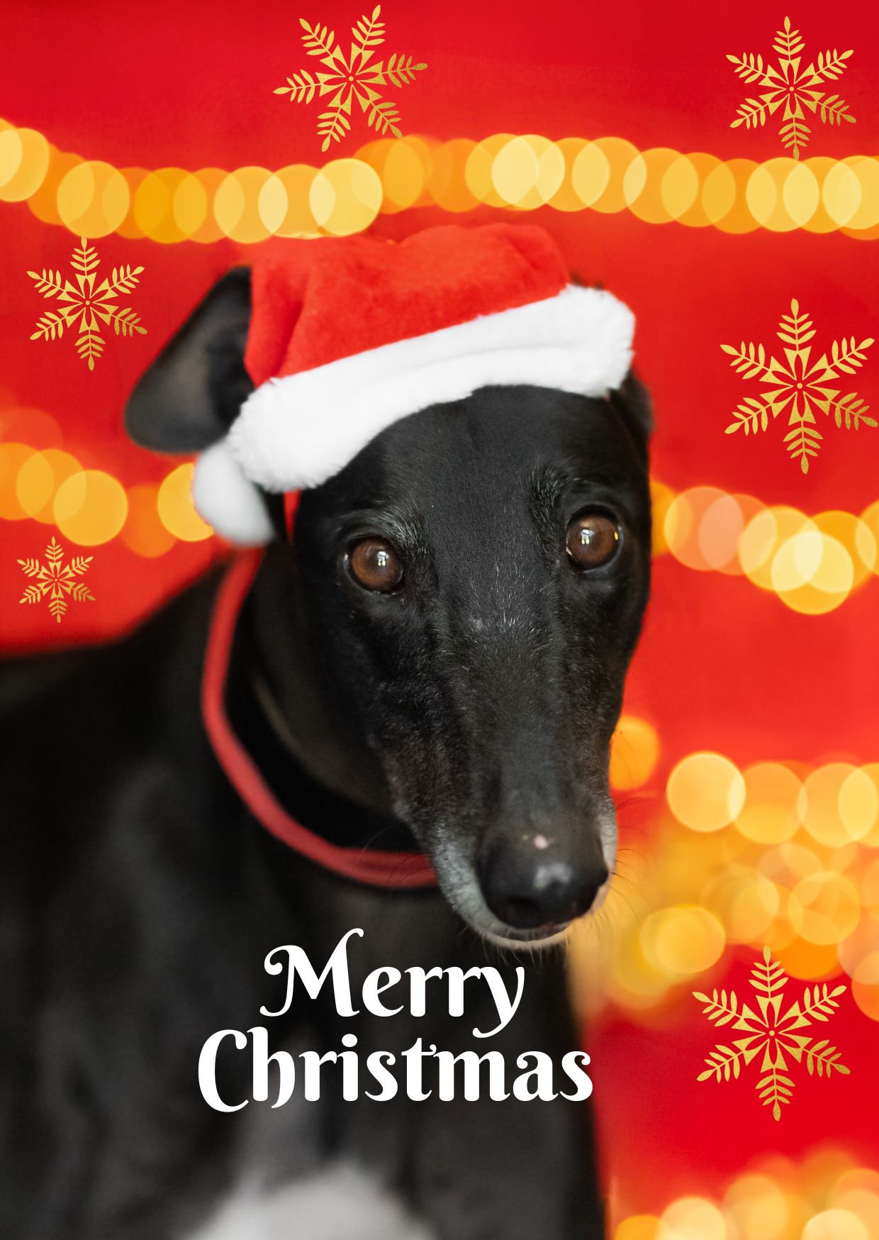 Christmas Cards 2026 - Image 2