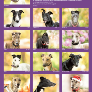 Wimbledon Greyhound Welfare Calendar 2027